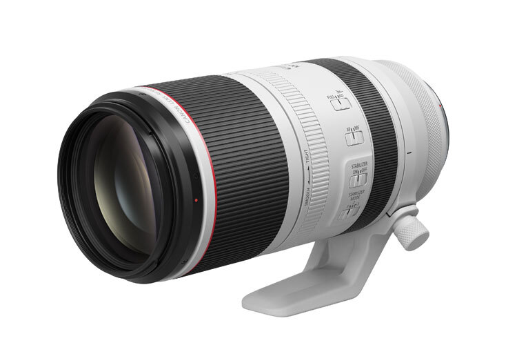 Canon RF 100-500mm f/4.5-7.1 L IS USM