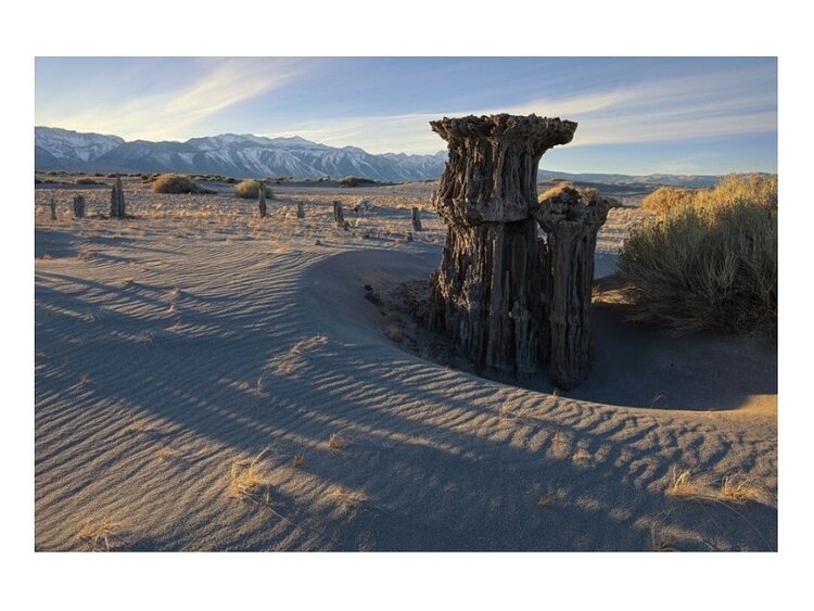 Canon RF 16-28mm f/2.8 IS STM