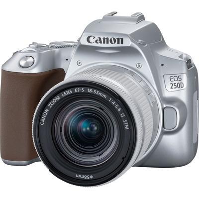 Canon EOS 250D + 18-55mm IS STM strieborný
