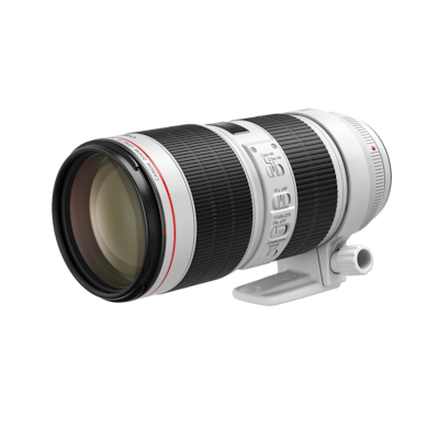 Canon EF 70-200mm f/2.8 L IS III USM