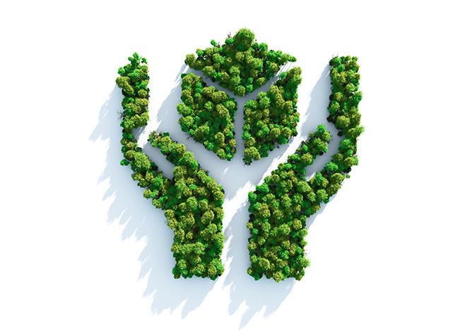 Stromy vytvárajú tvar dvoch rúk držiacich list